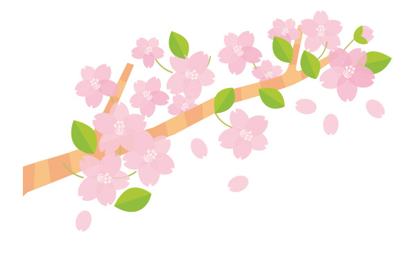 桜