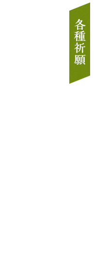 各種祈願 初宮 車のお祓い 厄払い